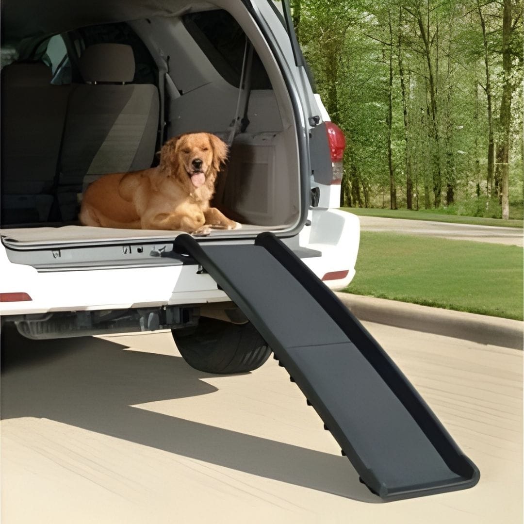 Honden loopplank kunststof